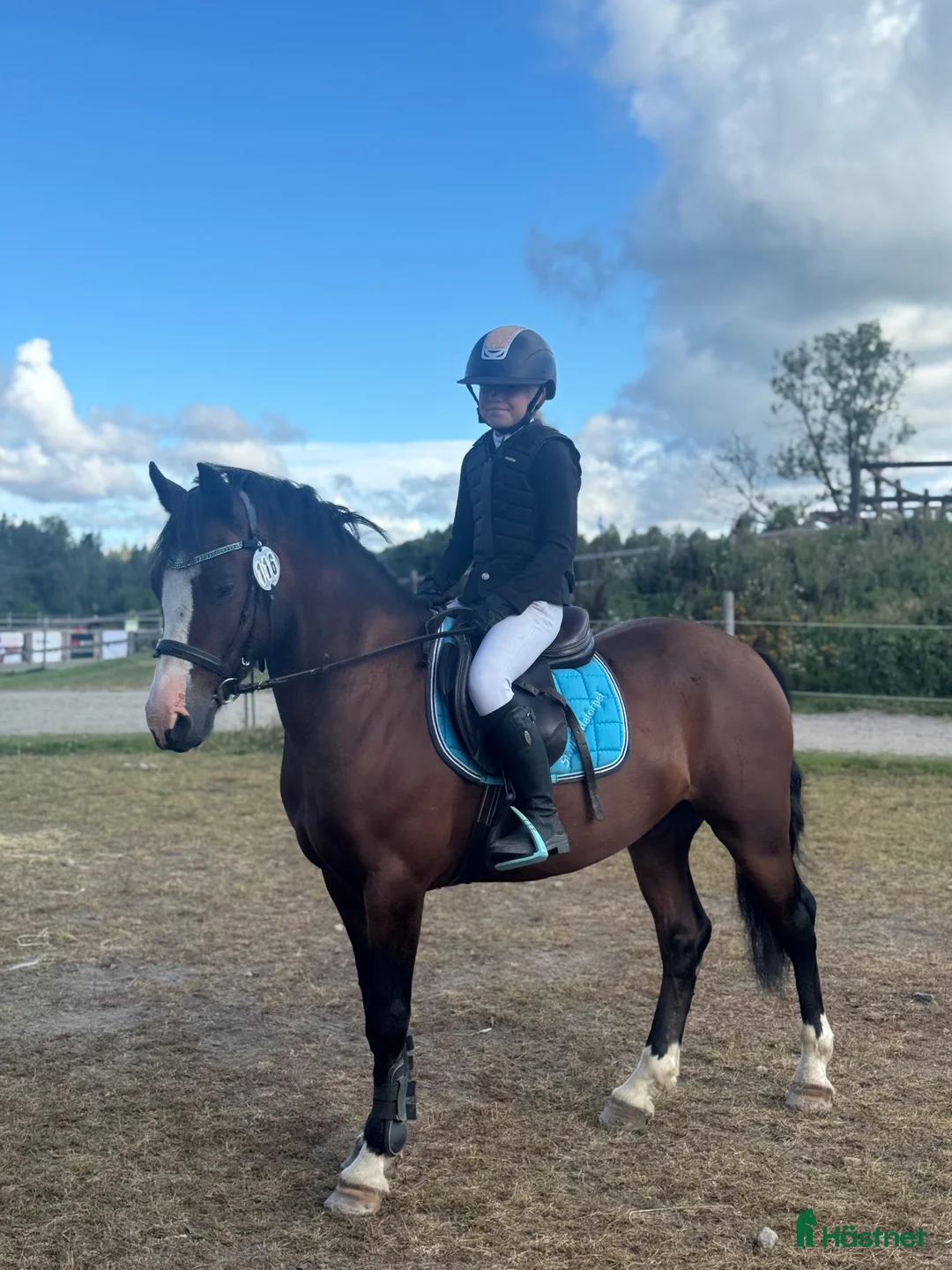 Allround hästar till salu: Tävlingsponny! - Annons 2