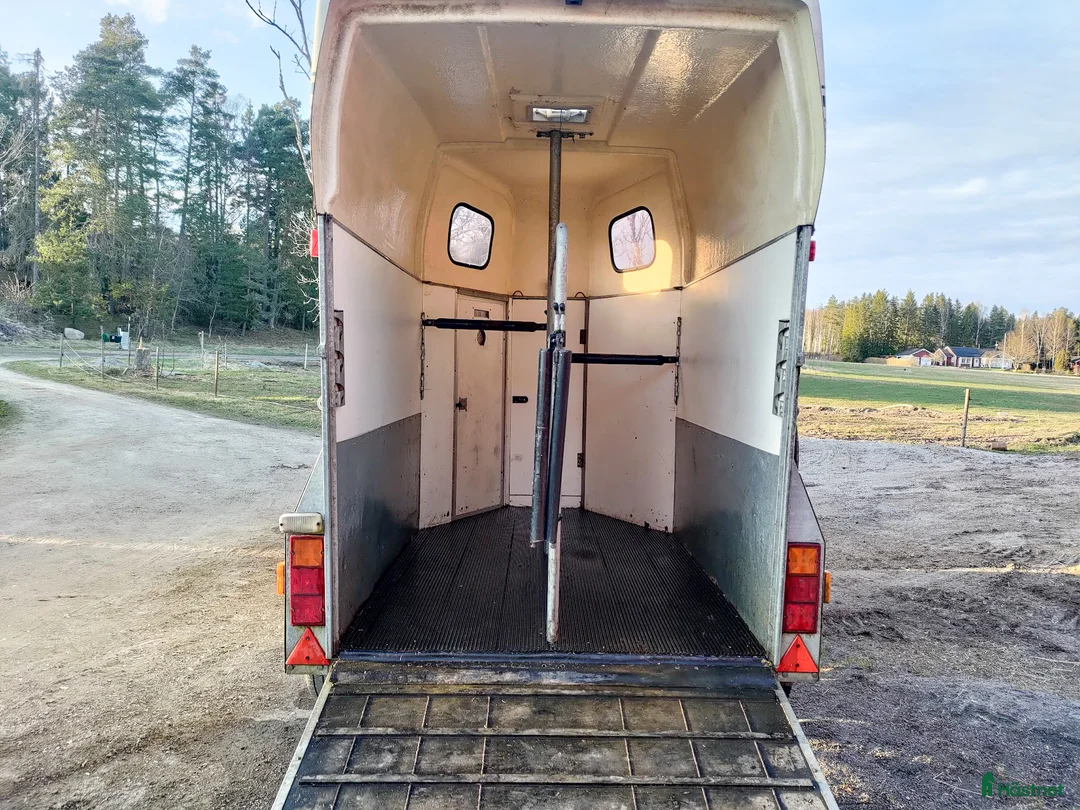 Hästtransporter  fordon & transport till salu: Hästtransport med låg totalvikt & 500 kg lastvikt - Annons 2