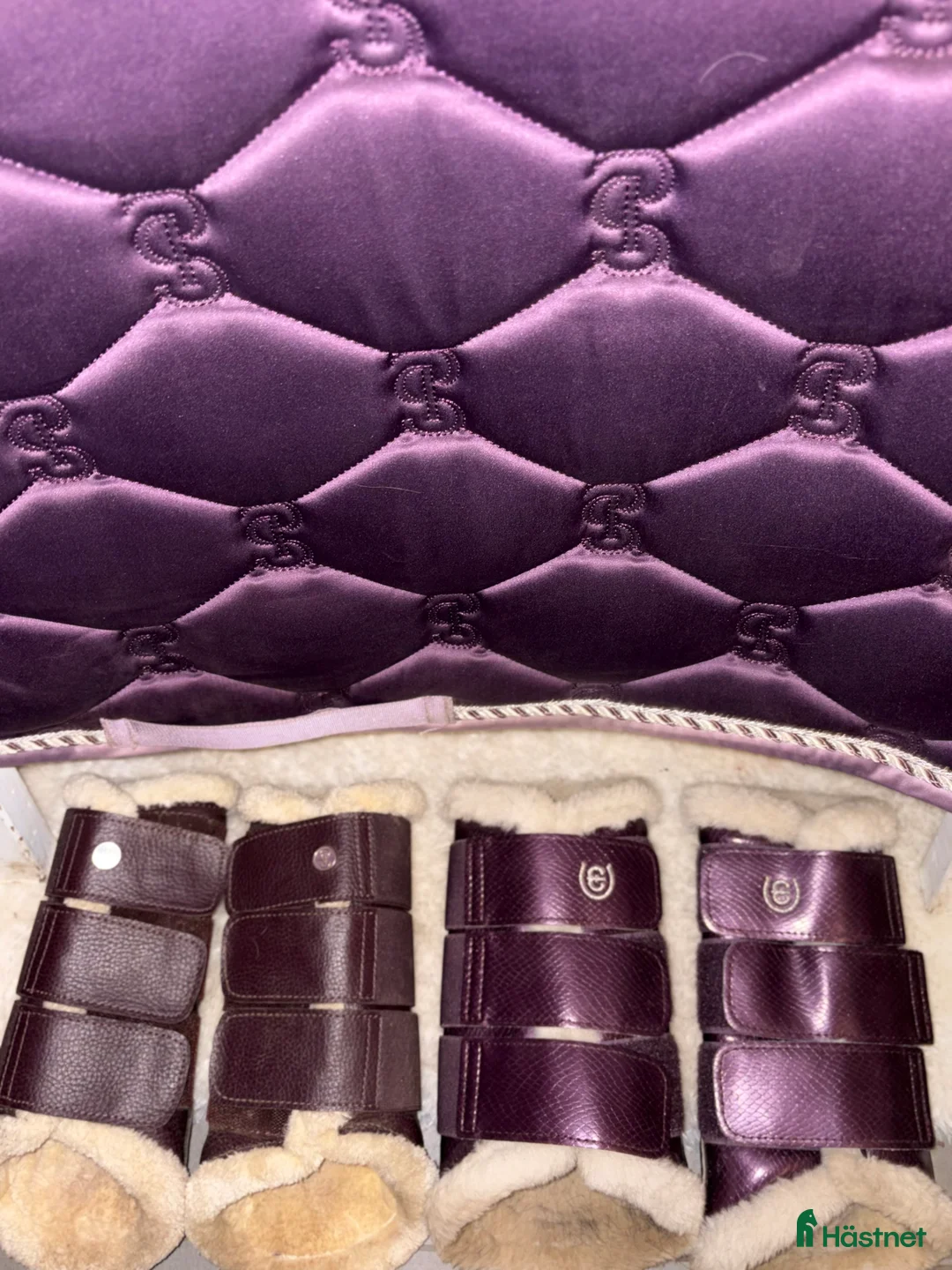 Sadeltillbehör hästutrustning till salu: ES & PS dressyrschabrak  - Annons 2