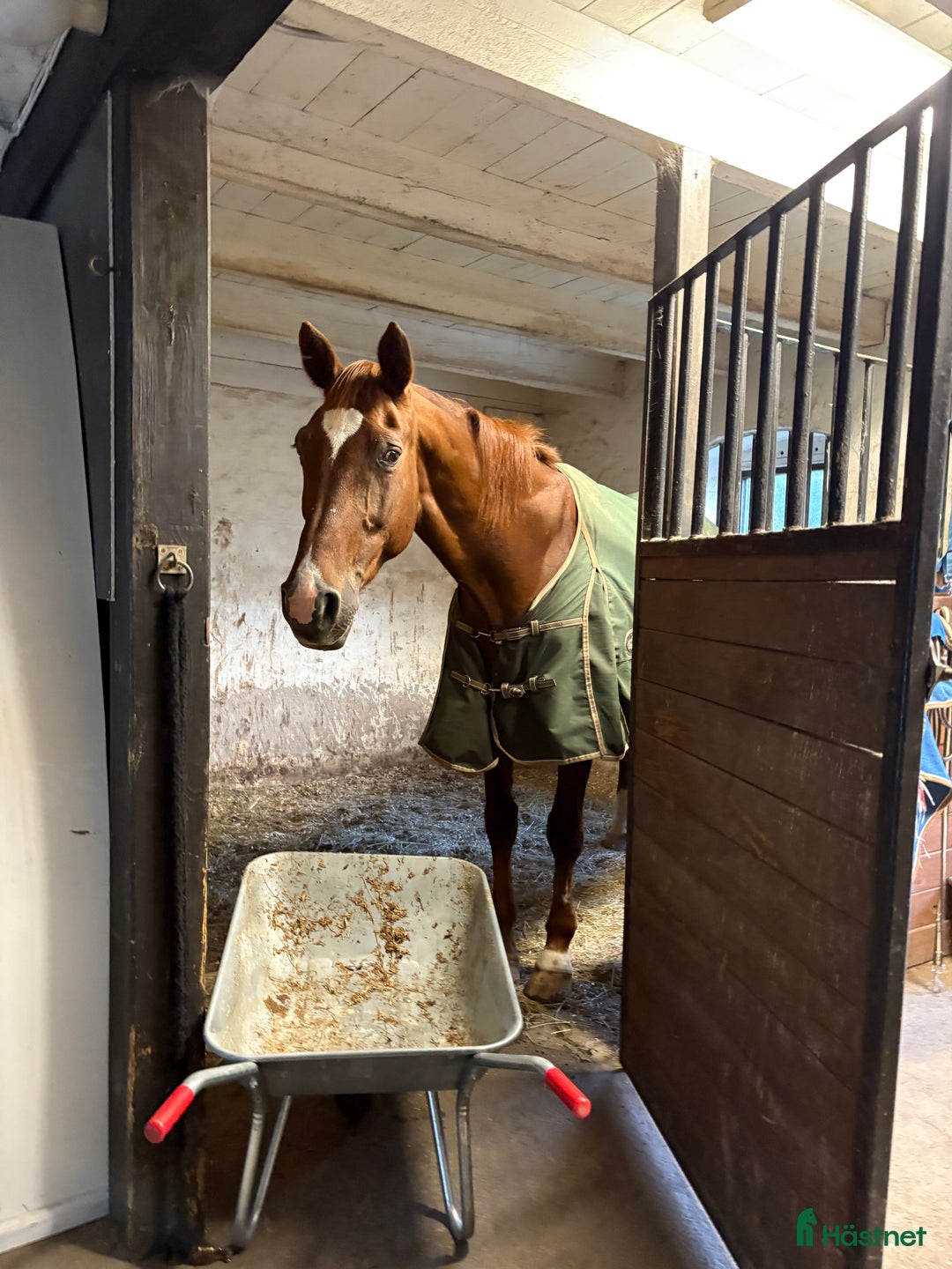  stallplats finnes: Stallplats finnes i Surahammar i Surahammar - Annons 1