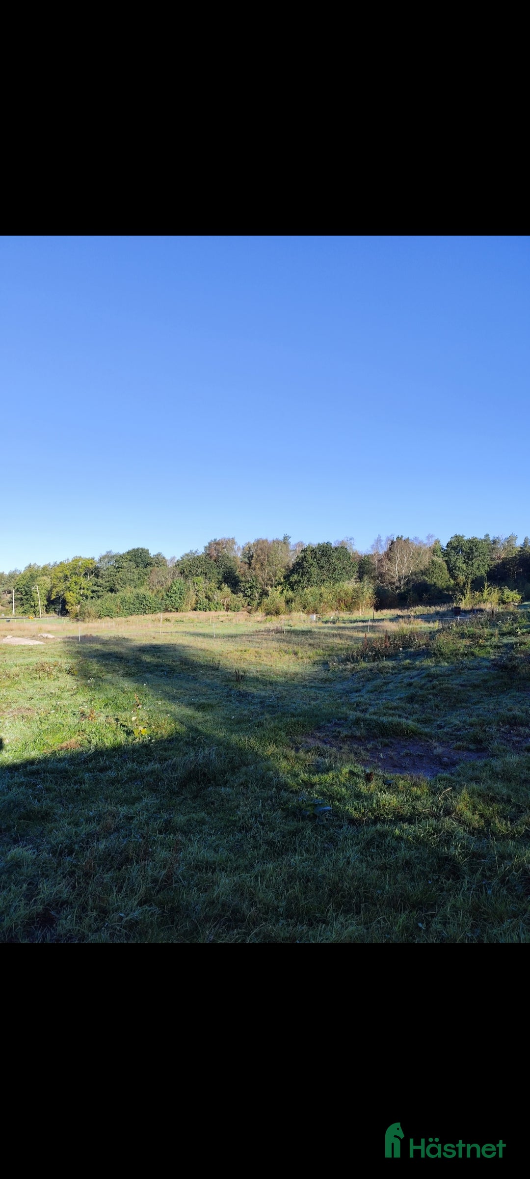  stallplats finnes: Liten mysig lösdrift i Säve - Annons 4