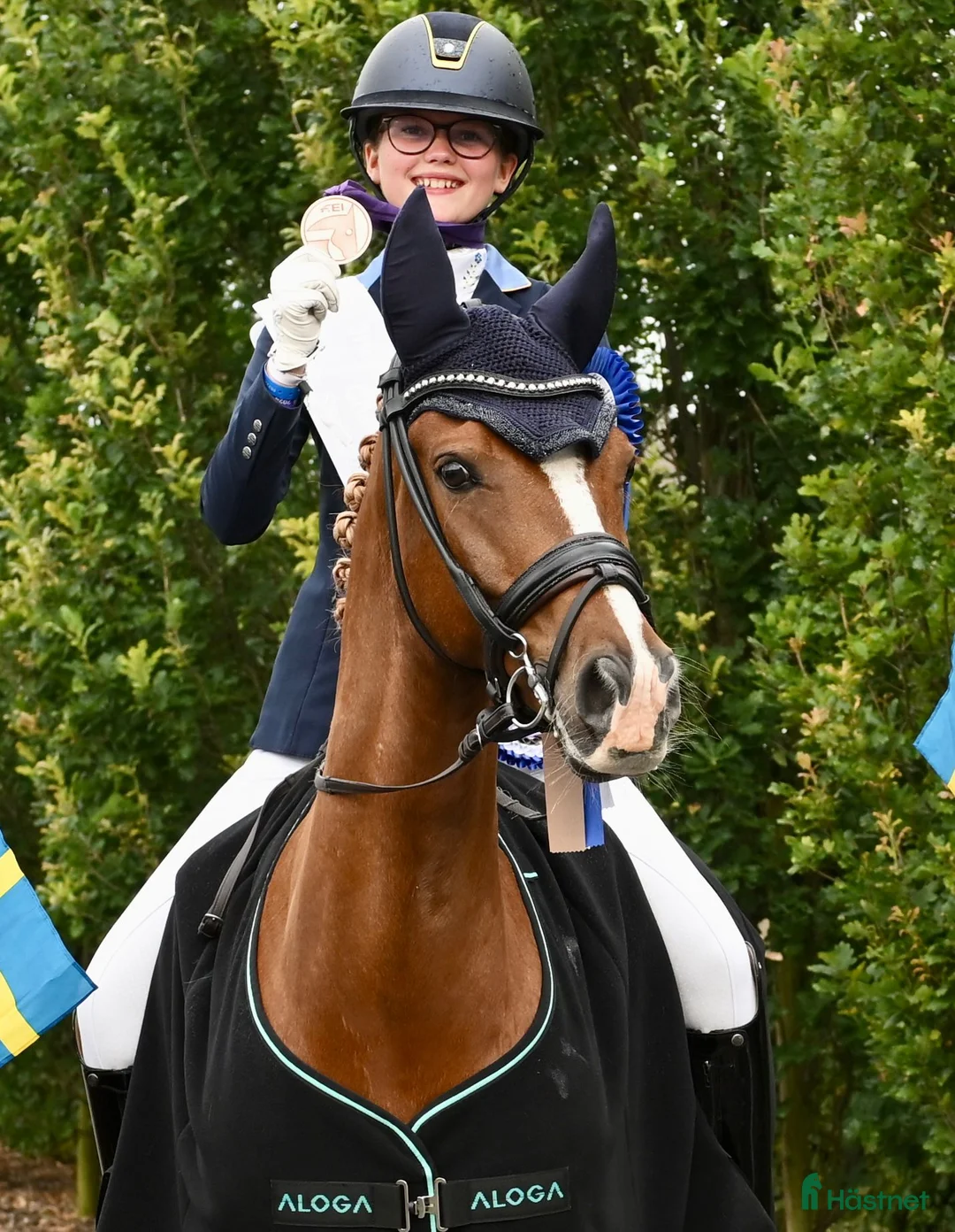 Dressyr hästar till salu: Helbror till Frans Isak-23 i Torna-hällestad - Annons 3