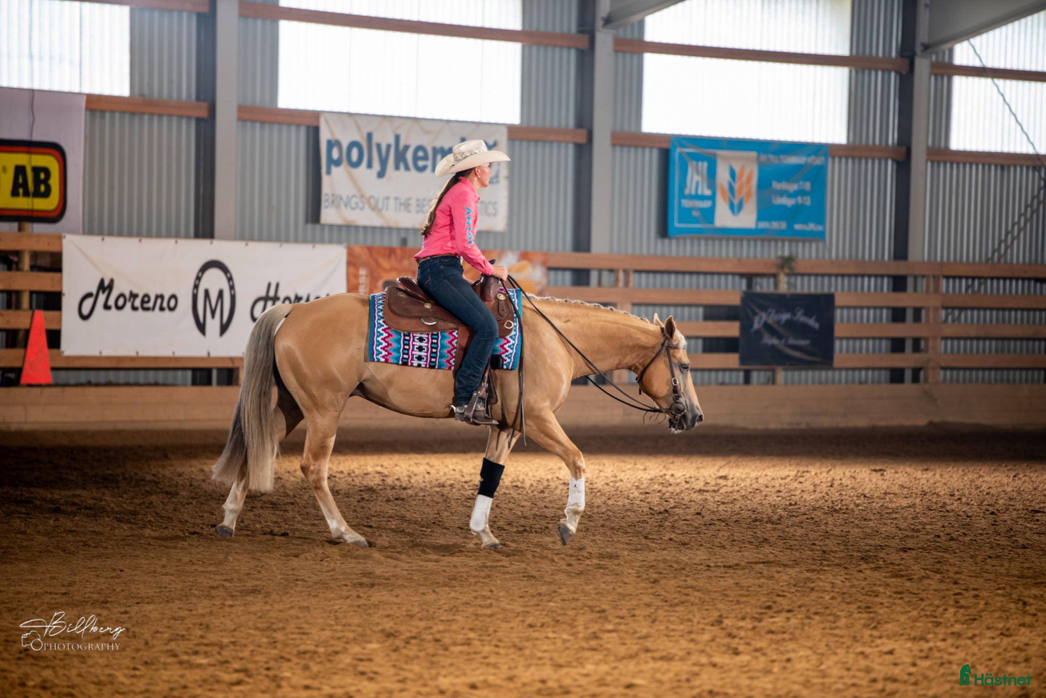  hästar Reining/allround - Annons 2