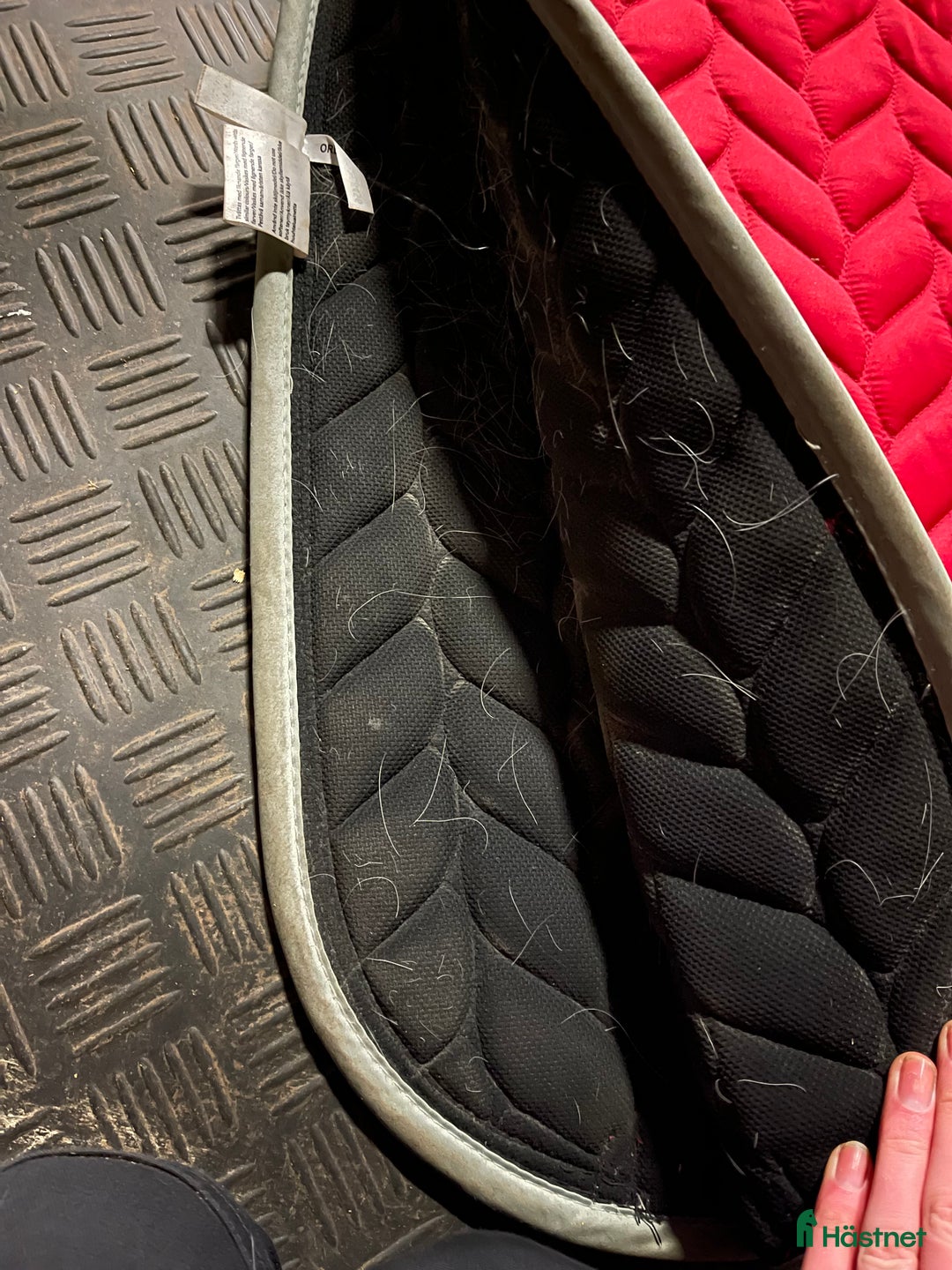 Schabrak & Vojlockar hästutrustning till salu: Schabrak  i Alsterbro - Annons 4