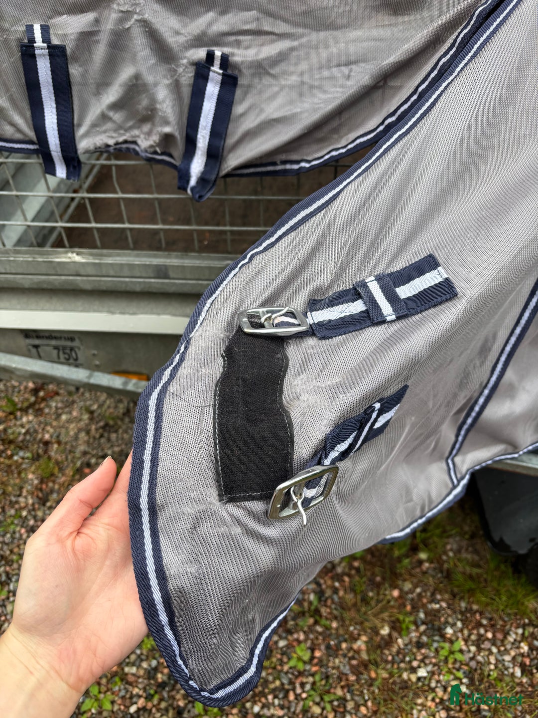 Täcken hästutrustning till salu: Flugtäcke Nova i Nyköping - Bild 5
