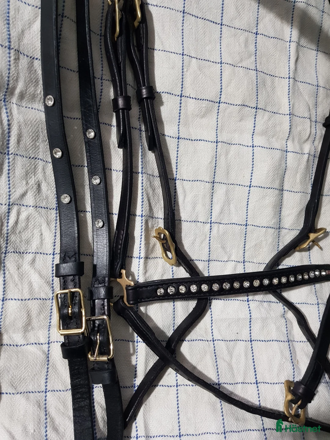 Islandshästutrustning övrig utrustning till salu: Karlslund remont träns i Söråker - Annons 2