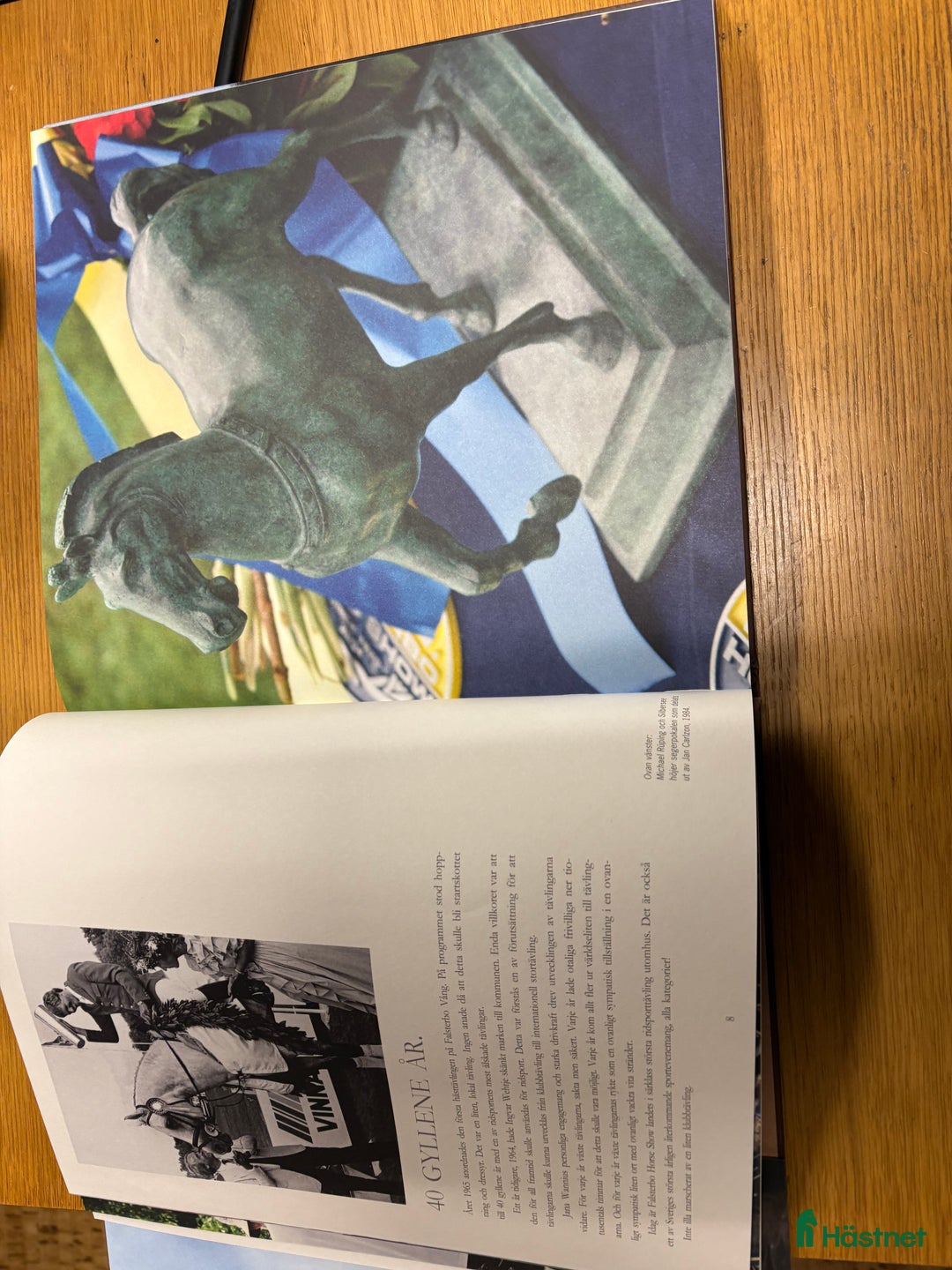 Övrig utrustning övrig utrustning till salu: Falsterbo bok  i Lagan - Annons 5