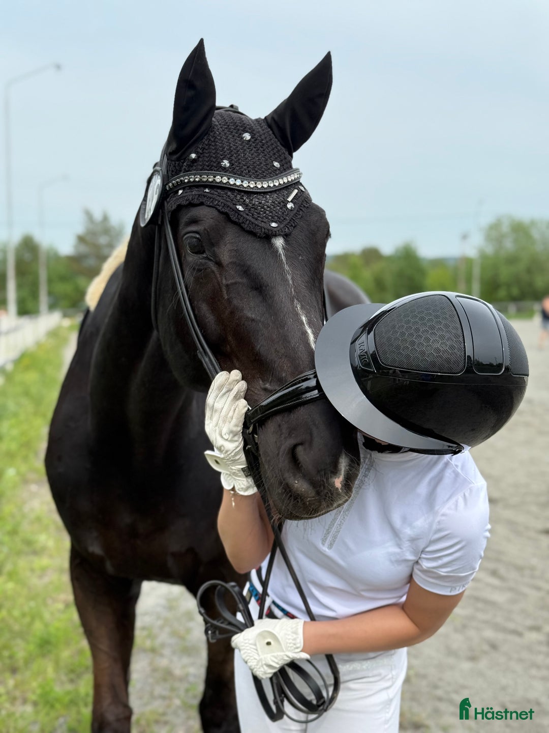 Dressyr hästar till salu: En häst med hjärta av guld söker sin nya bästa vän - Annons 4
