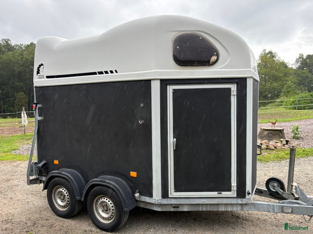 Hästtransporter  fordon & transport till salu: Cheval Liberte Gold - hög lastvikt! i Tävelsås - Annons 1