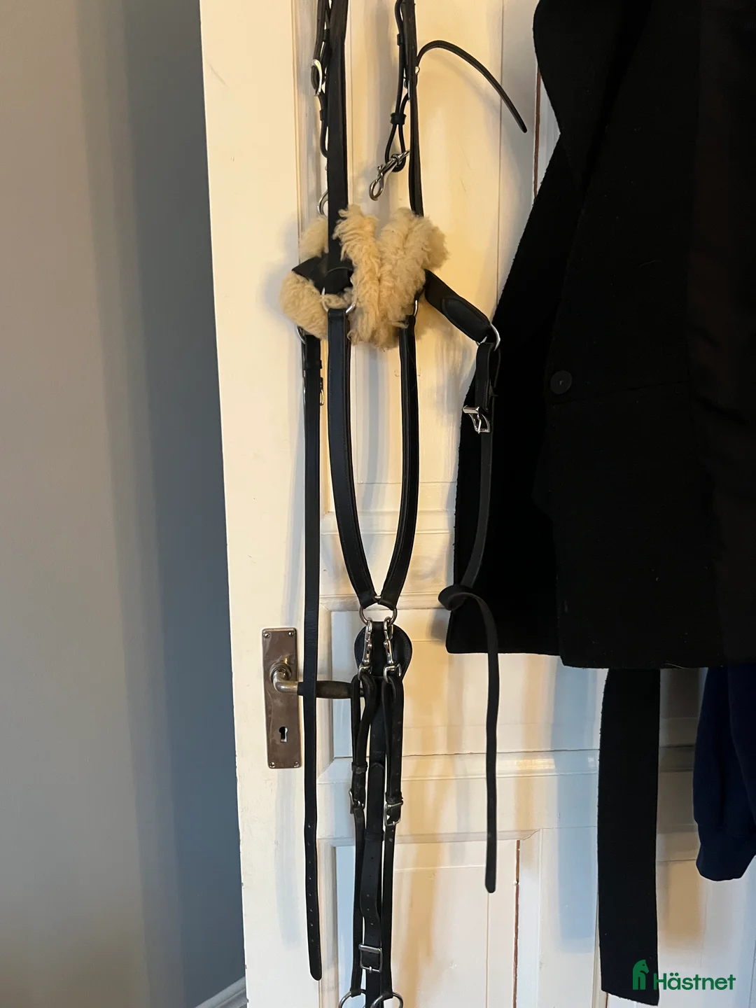 Övrig Hästutrustning hästutrustning till salu: Förbygel - Annons 1