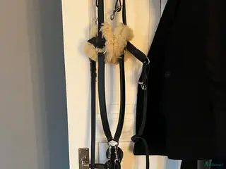 Övrig Hästutrustning hästutrustning Förbygel - Annons 11