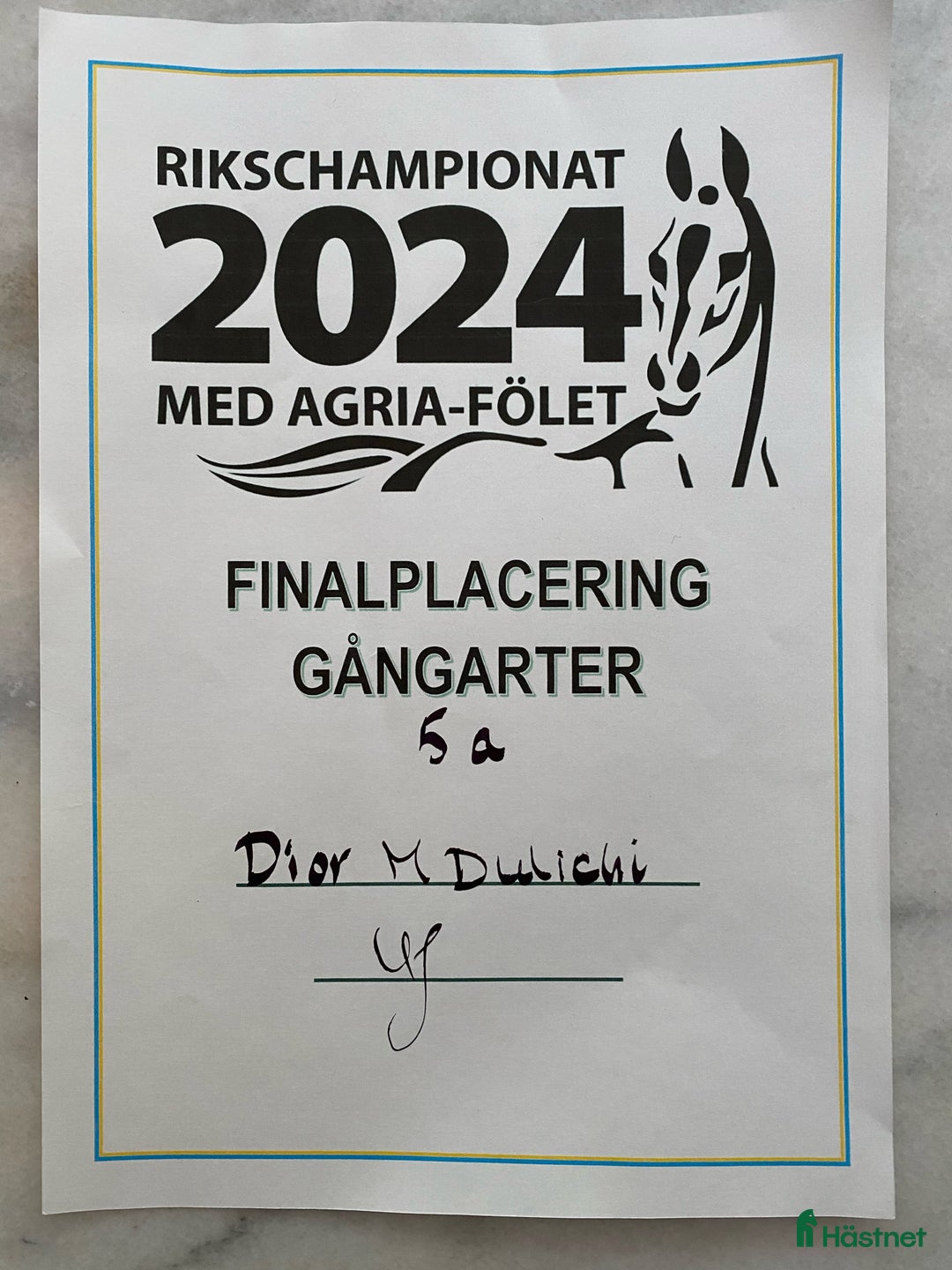 Dressyr hästar till salu: Fantastiskt framtidslöfte  i Kvänum - Annons 5