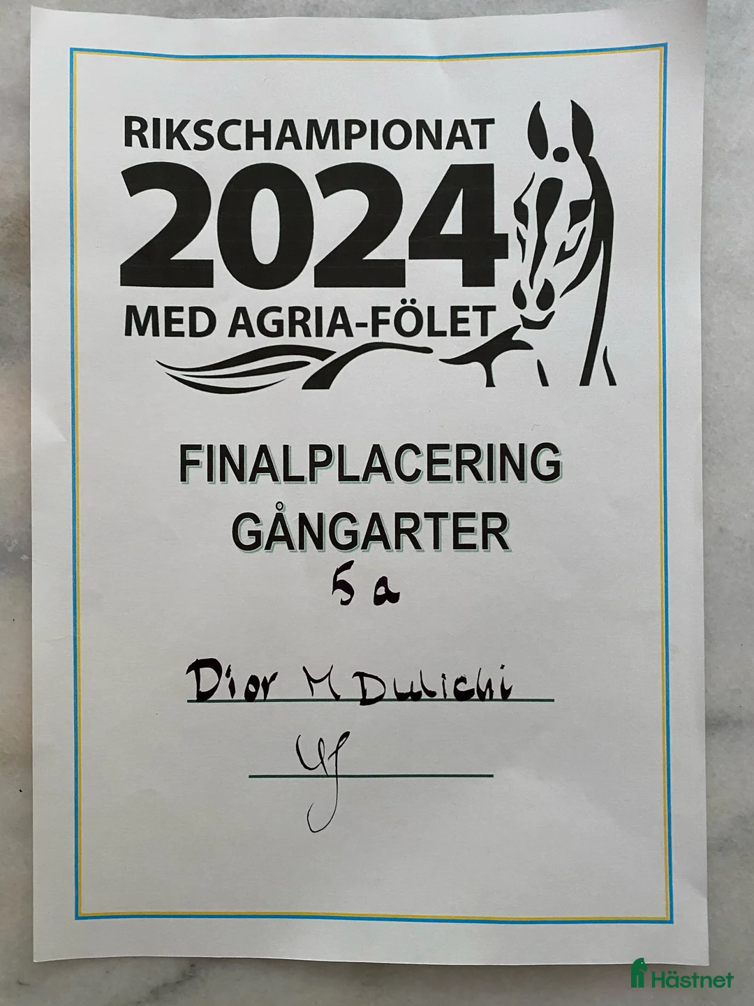 Dressyr hästar till salu: Fantastiskt framtidslöfte  - Annons 5