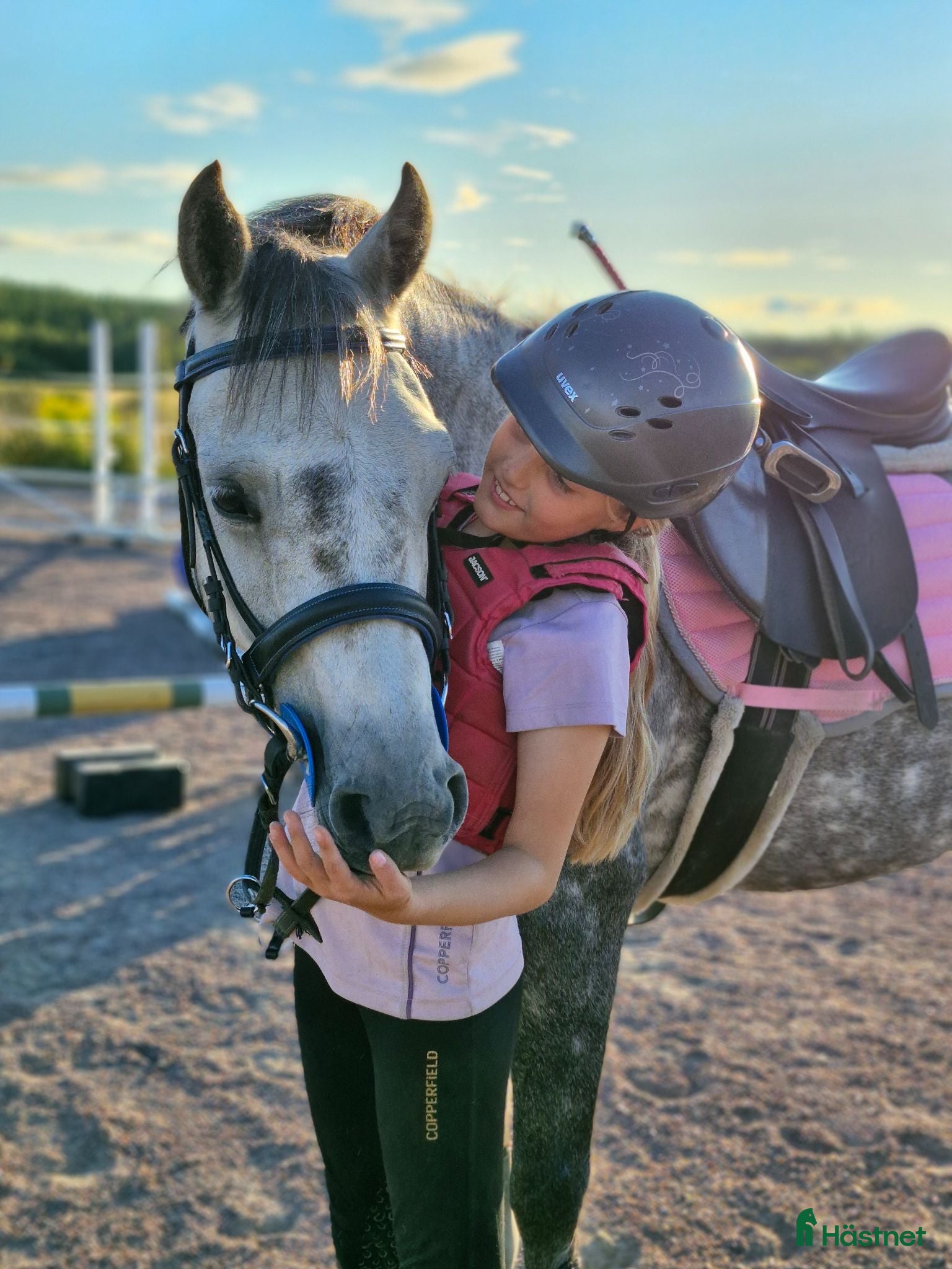 Allround hästar till salu: Underbar, C-ponny welsh valack  - Annons 1