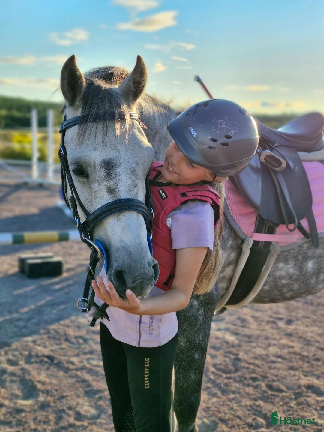 Allround hästar till salu: Underbar, C-ponny welsh valack  - Annons 1