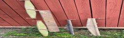 Övrig Körutrustning körning till salu: Svängel mm - Annons 3