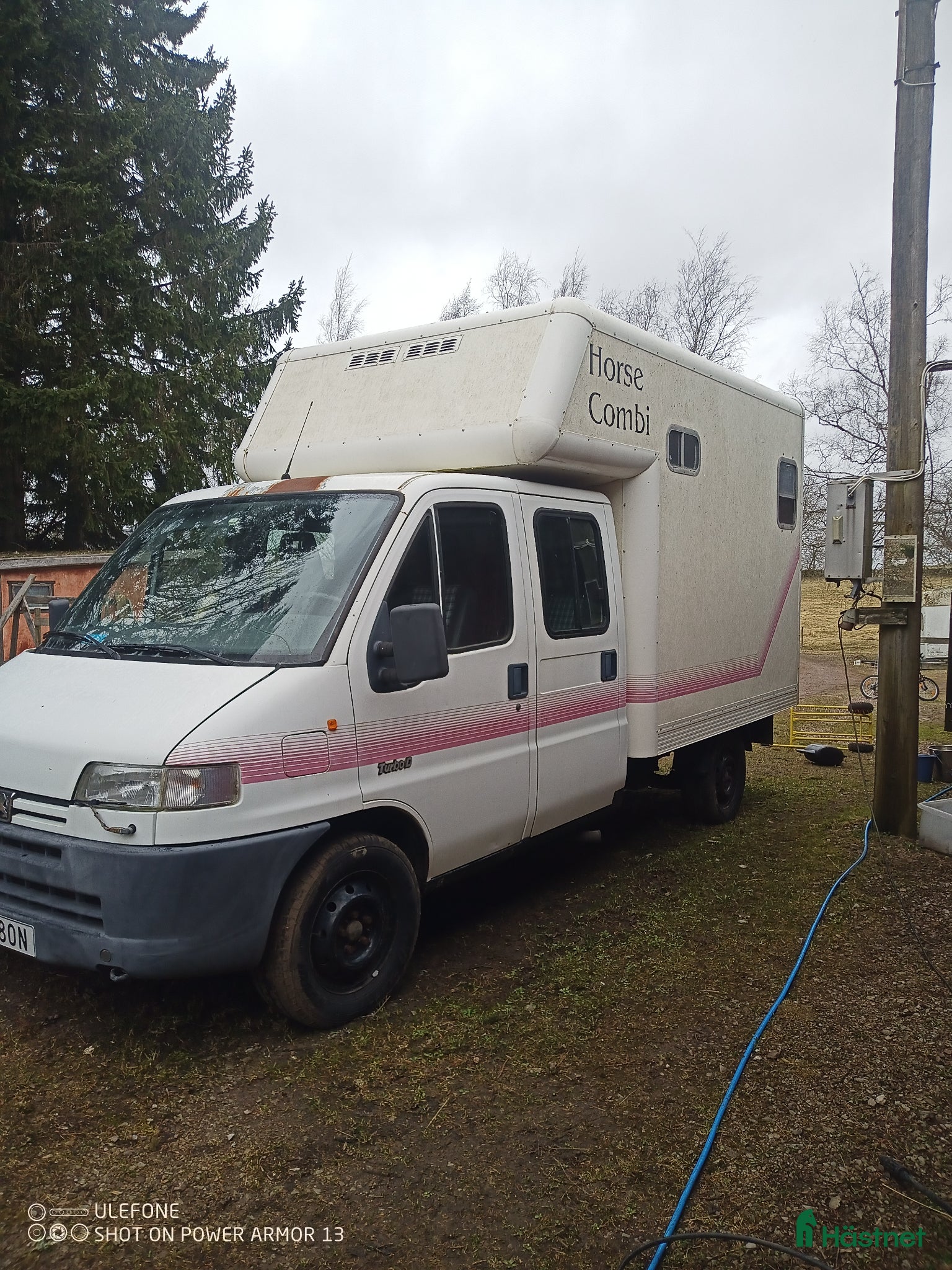 Hästlastbilar  fordon & transport till salu: Hästlastbil med 7 säten - Annons 17