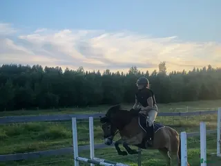 hästar Talangfullt russ *TINGAD* i Vitå - Annons 5