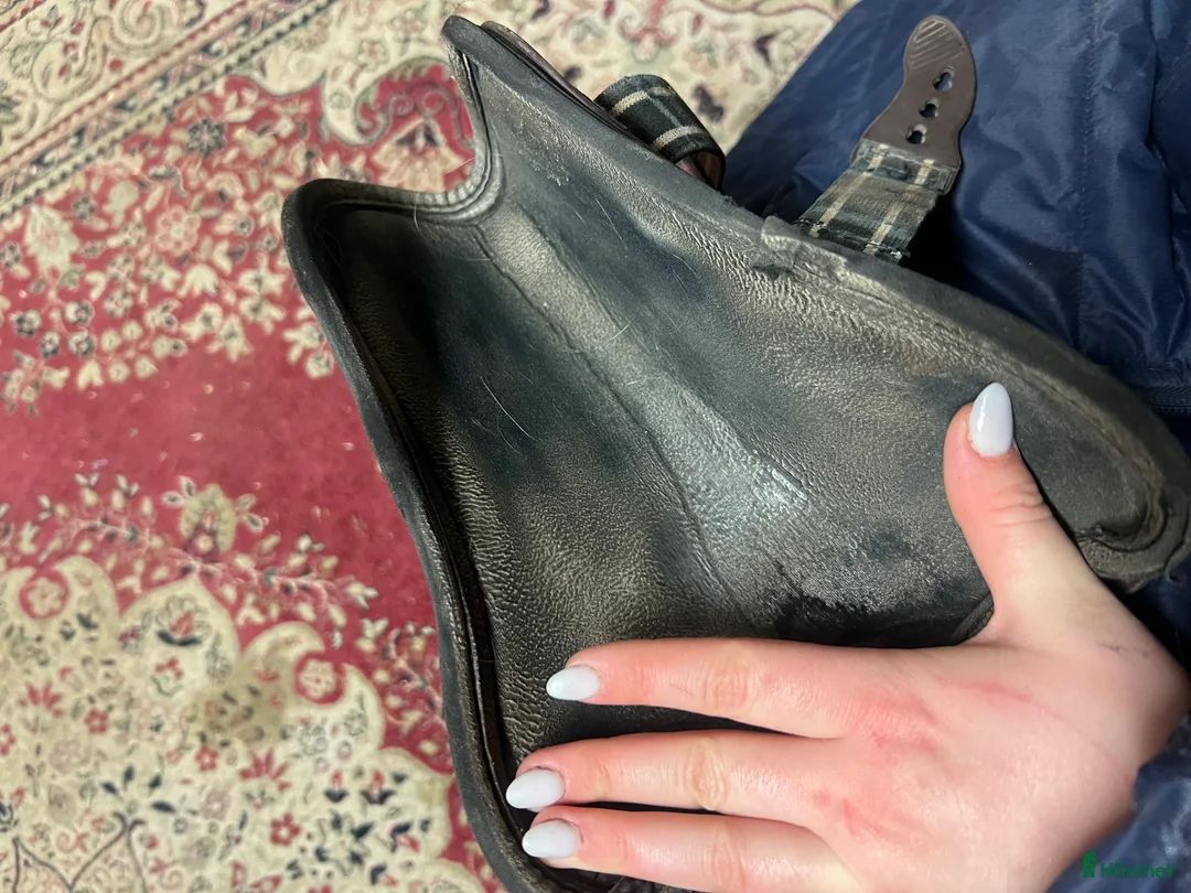 Benskydd hästutrustning till salu: Lamicell benskydd - Annons 10