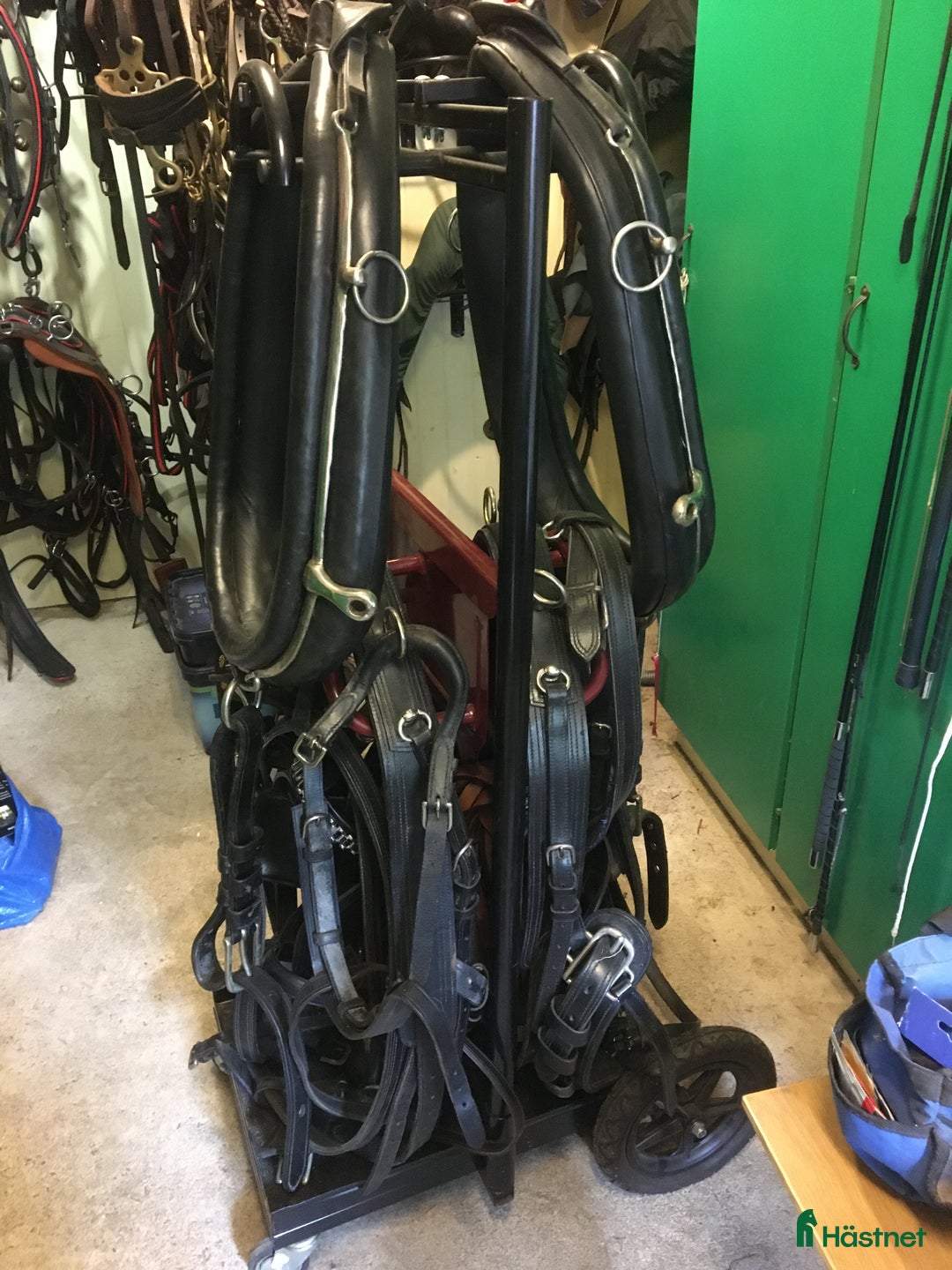 Körselar körning till salu: Collerselar i Rödeby - Annons 2