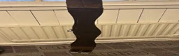 Sadeltillbehör hästutrustning till salu: Sadelgjord 110 cm - Annons 2