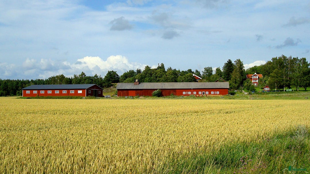 stallplats finnes: Lediga stallplatser Hollstad i Norrköping - Annons 3
