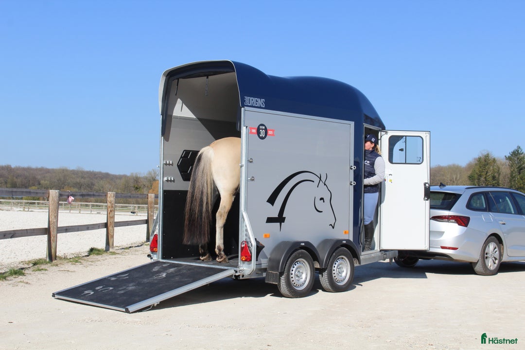 Hästtransporter  fordon & transport till salu: Gold One Origins i Harestad - Annons 9