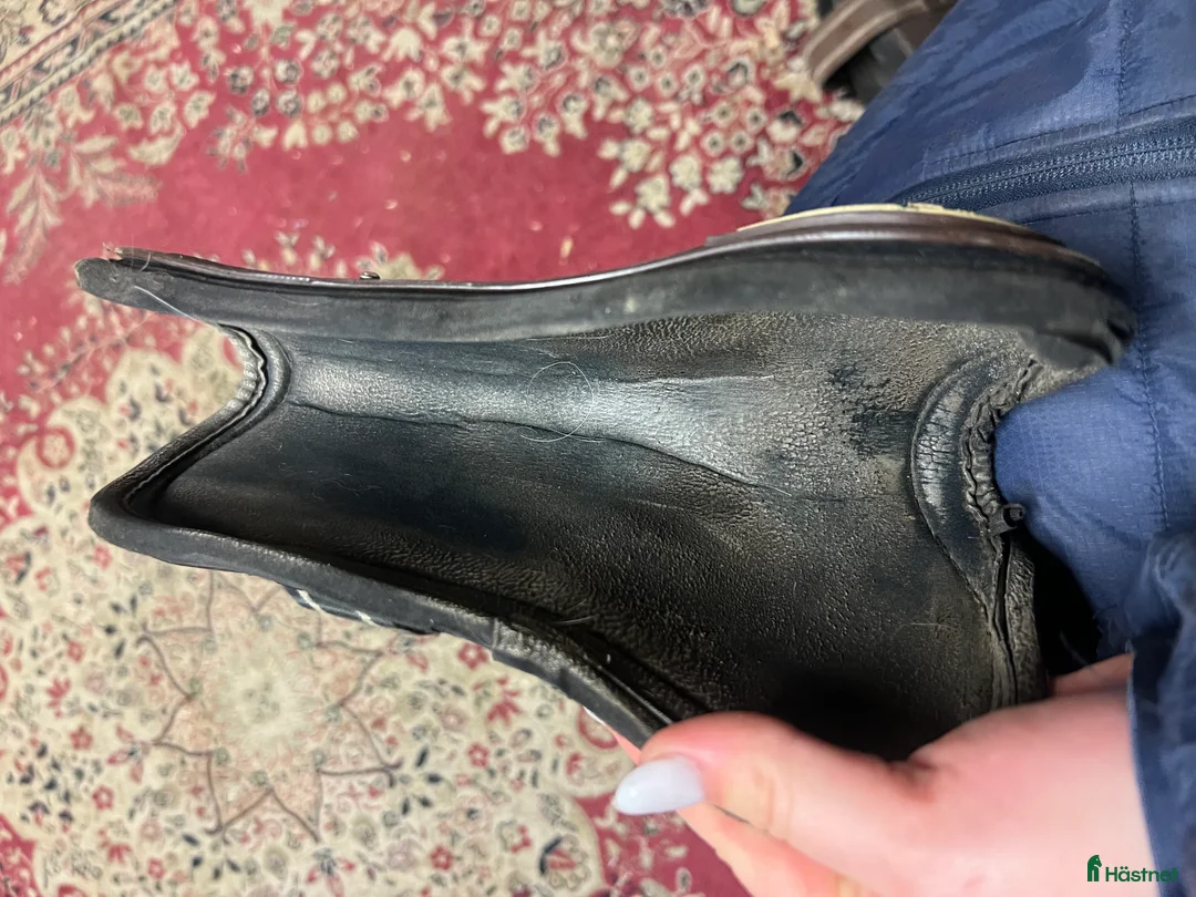 Benskydd hästutrustning till salu: Lamicell benskydd - Annons 6