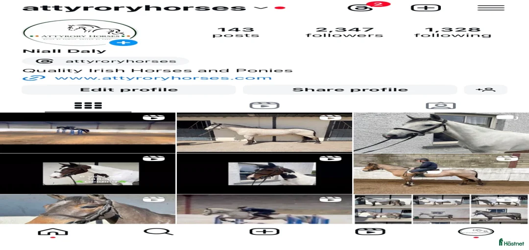 Galleribild {{count}}