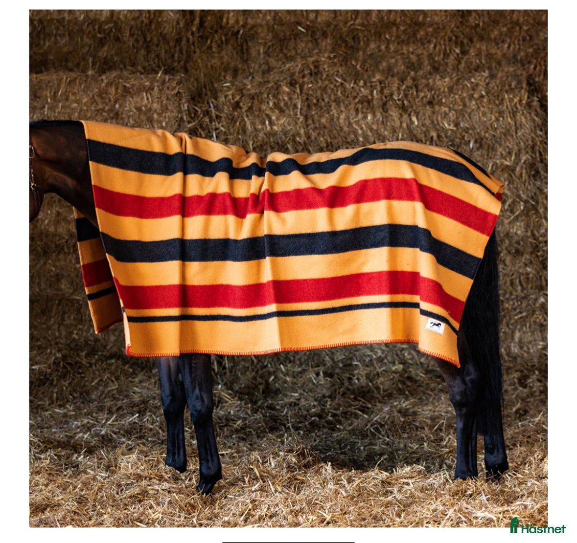 Täcken hästutrustning Get the Galopp/Newmarket stor ullfilt - Annons 1