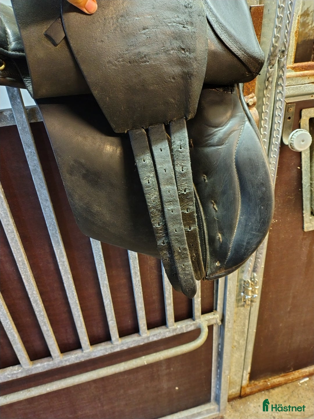 Sadlar hästutrustning till salu: Islands sadel  i Gamleby - Annons 5