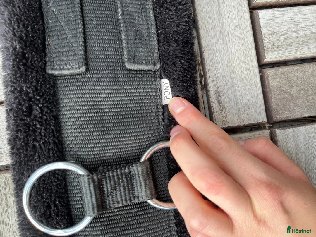 Övrig Hästutrustning hästutrustning till salu: Longeringsgjord, pony - Annons 3