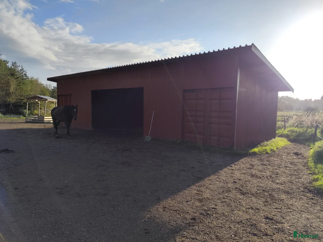  stallplats finnes: Stallplats Kode i Kode - Annons 3