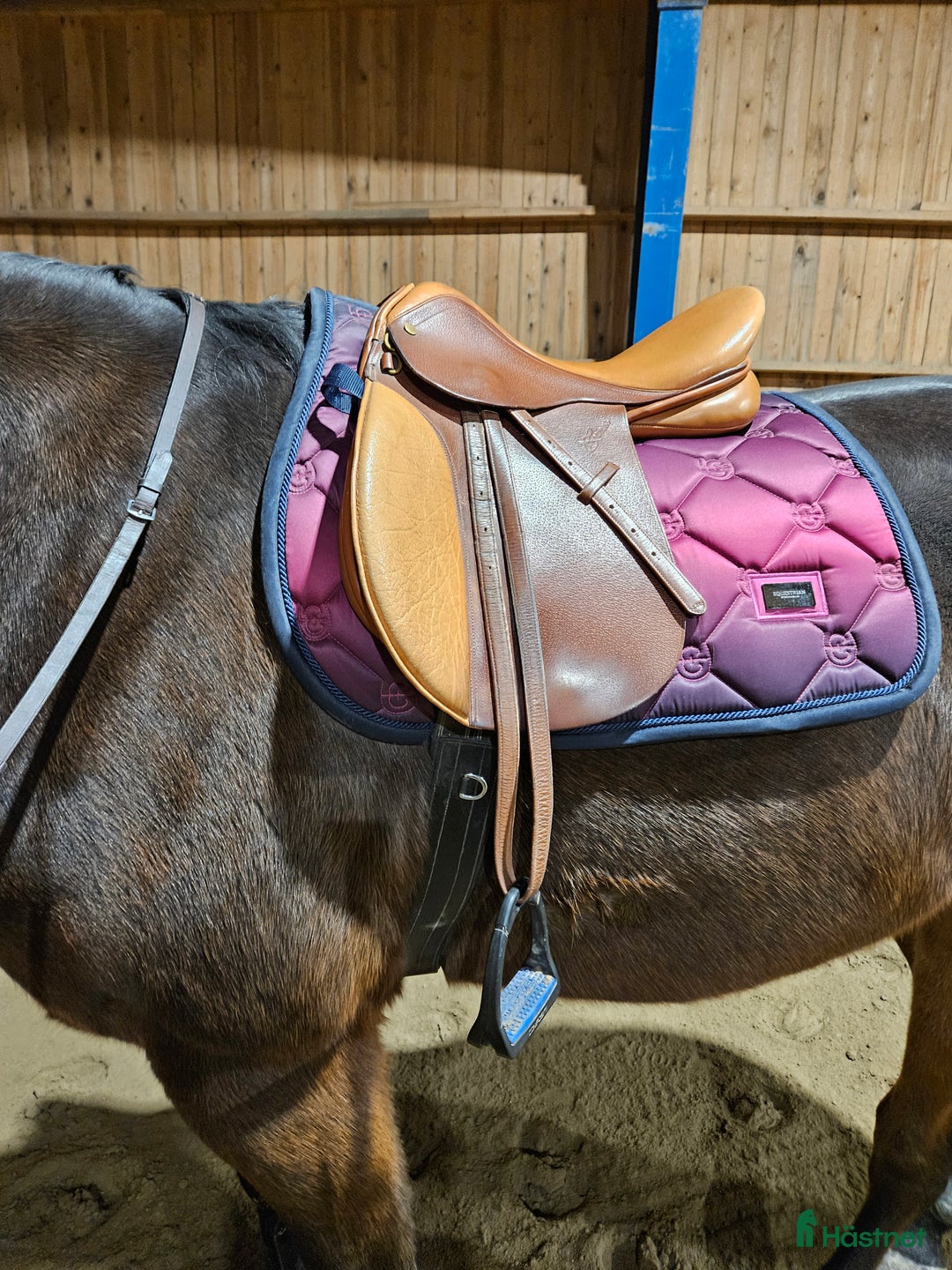 Sadlar hästutrustning till salu: Säljes 2 sadlar i Bergsjö - Annons 1