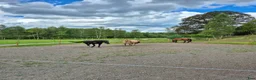  stallplats finnes: Lösdrifts plats - Annons 1