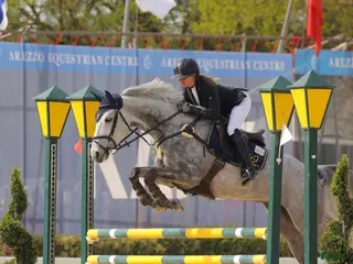 hästar Vänlig tävlingshäst – Myntas barnbarn. - Annons 9