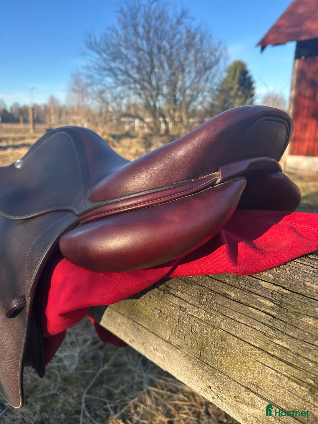 Sadlar hästutrustning till salu: CWD Hoppsadel - Annons 5