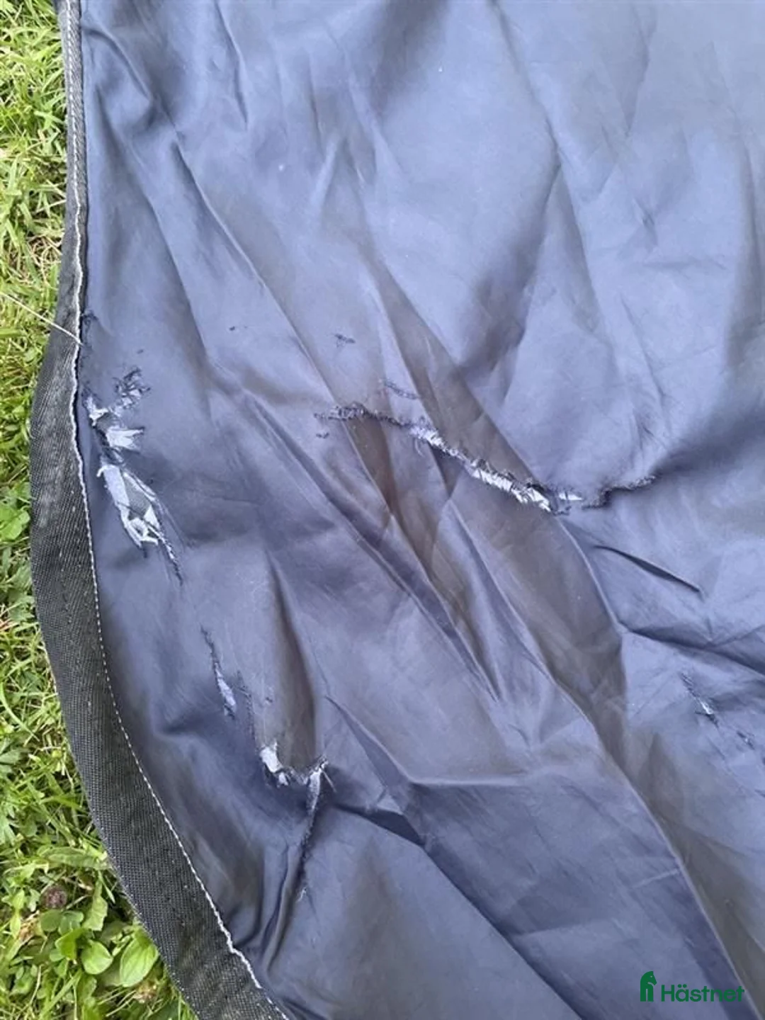 Täcken hästutrustning till salu: Horseware Amigo Bravo 12 Plus Lite 0 g, 155 cm - Annons 2