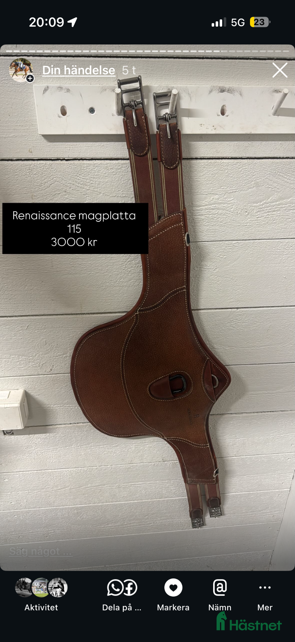 Sadeltillbehör hästutrustning till salu: Renaissance magplatta - Annons 2