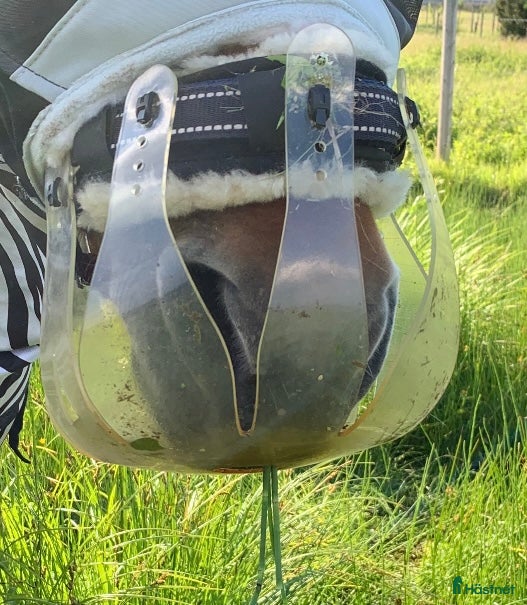 Övrig Hästutrustning hästutrustning Thinline betesreducerare - Annons 14