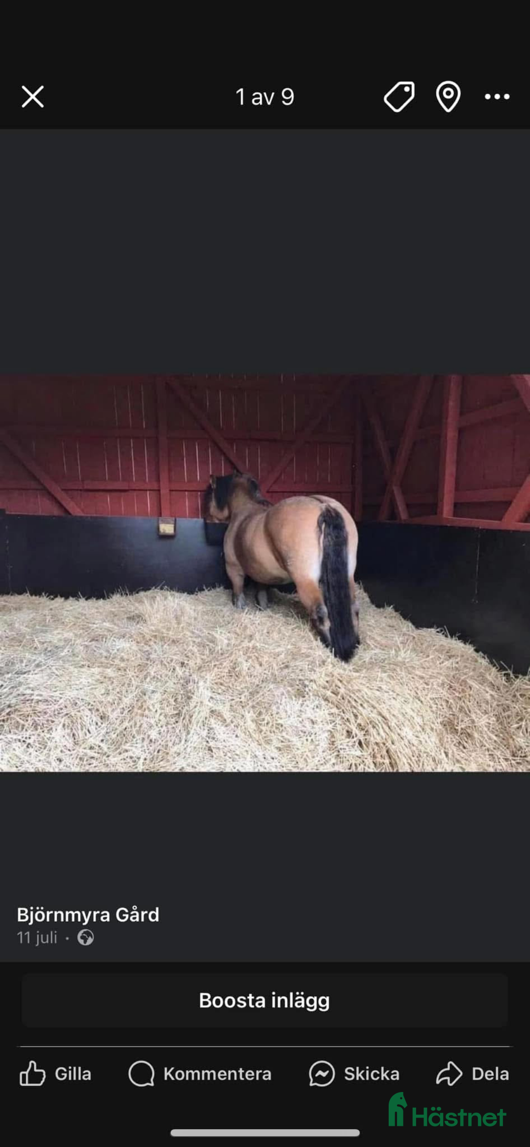  stallplats finnes: Stallplatser  i Sköldinge - Annons 3