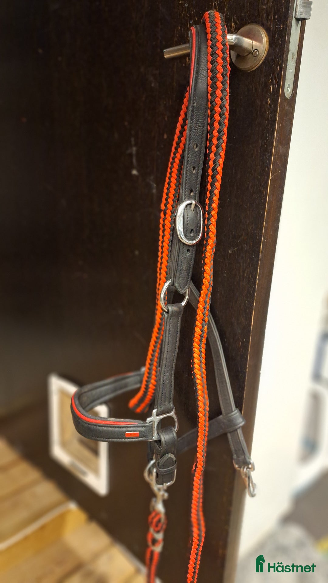 Islandshästutrustning övrig utrustning till salu: Lädergrimma - Annons 3