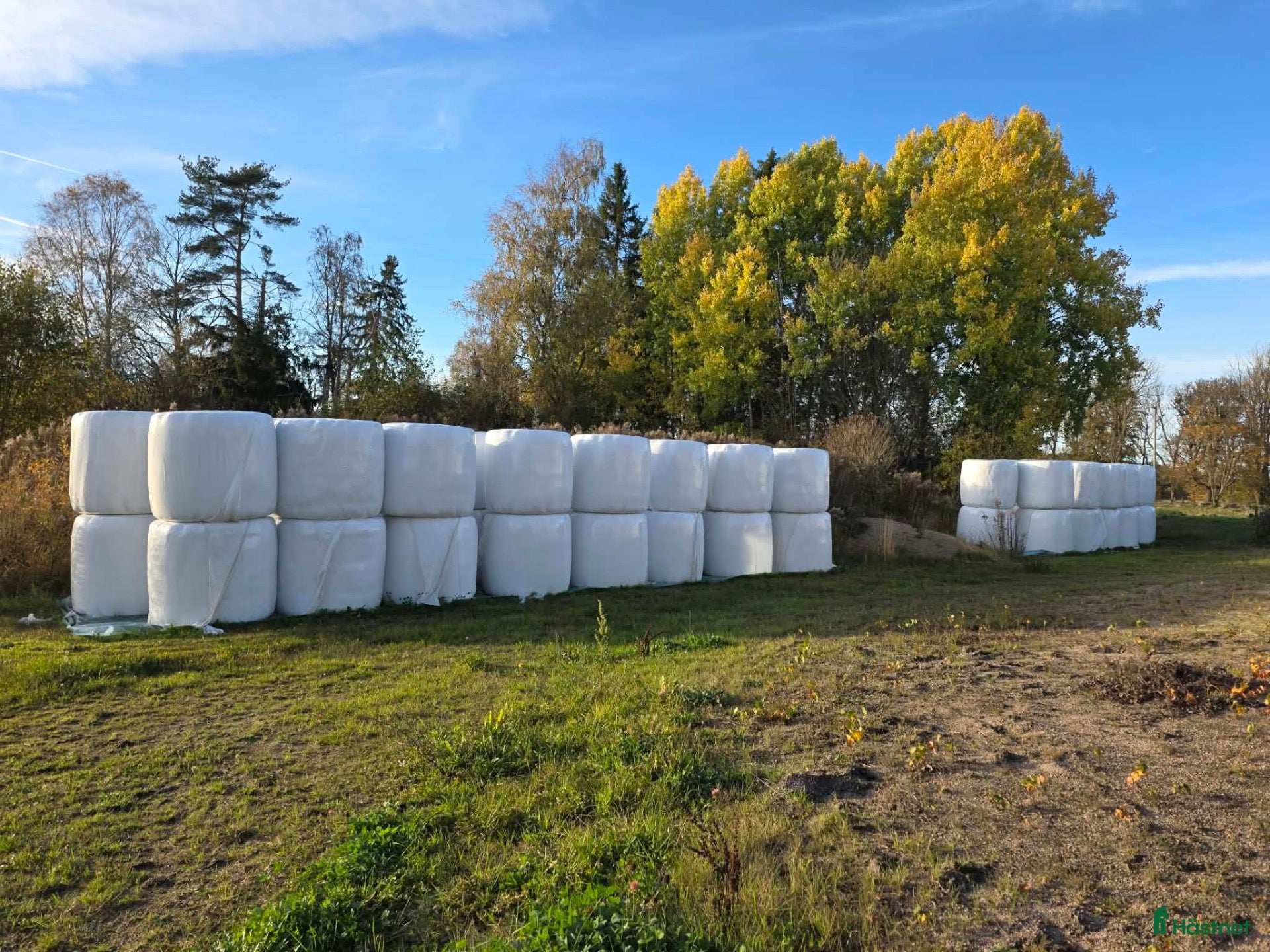 Stallinredning, stängsel & gård övrig utrustning till salu: Hösilage rundbal - Annons 21