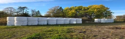 Stallinredning, stängsel & gård övrig utrustning till salu: Hösilage rundbal i Vårgårda - Annons 1