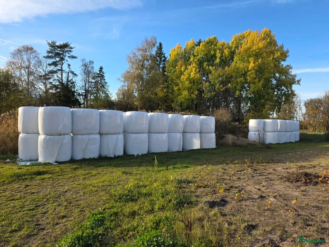 Stallinredning, stängsel & gård övrig utrustning till salu: Hösilage rundbal i Vårgårda - Annons 1