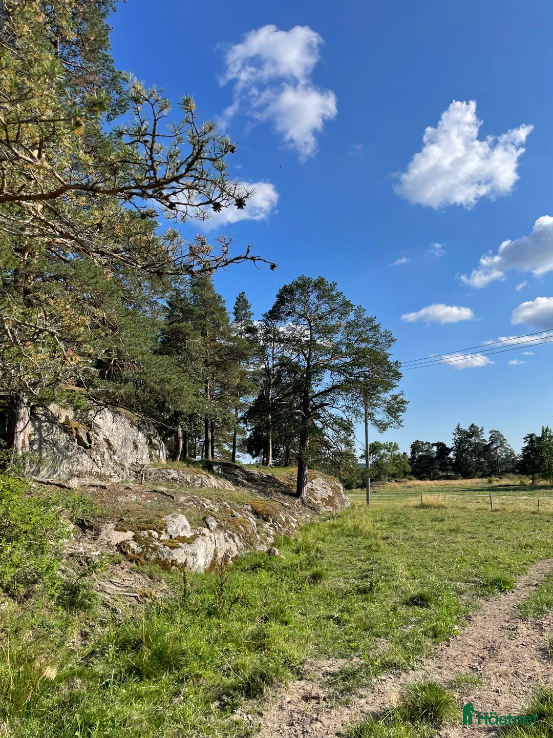  stallplats finnes: 🌟 Lösdriftsplats med lyxig fullservice 🌟 - Annons 9