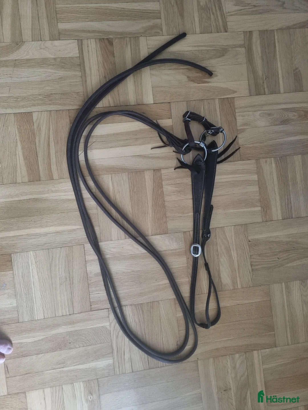 Träns hästutrustning till salu: Komplett enörasträns i Jönköping - Annons 1