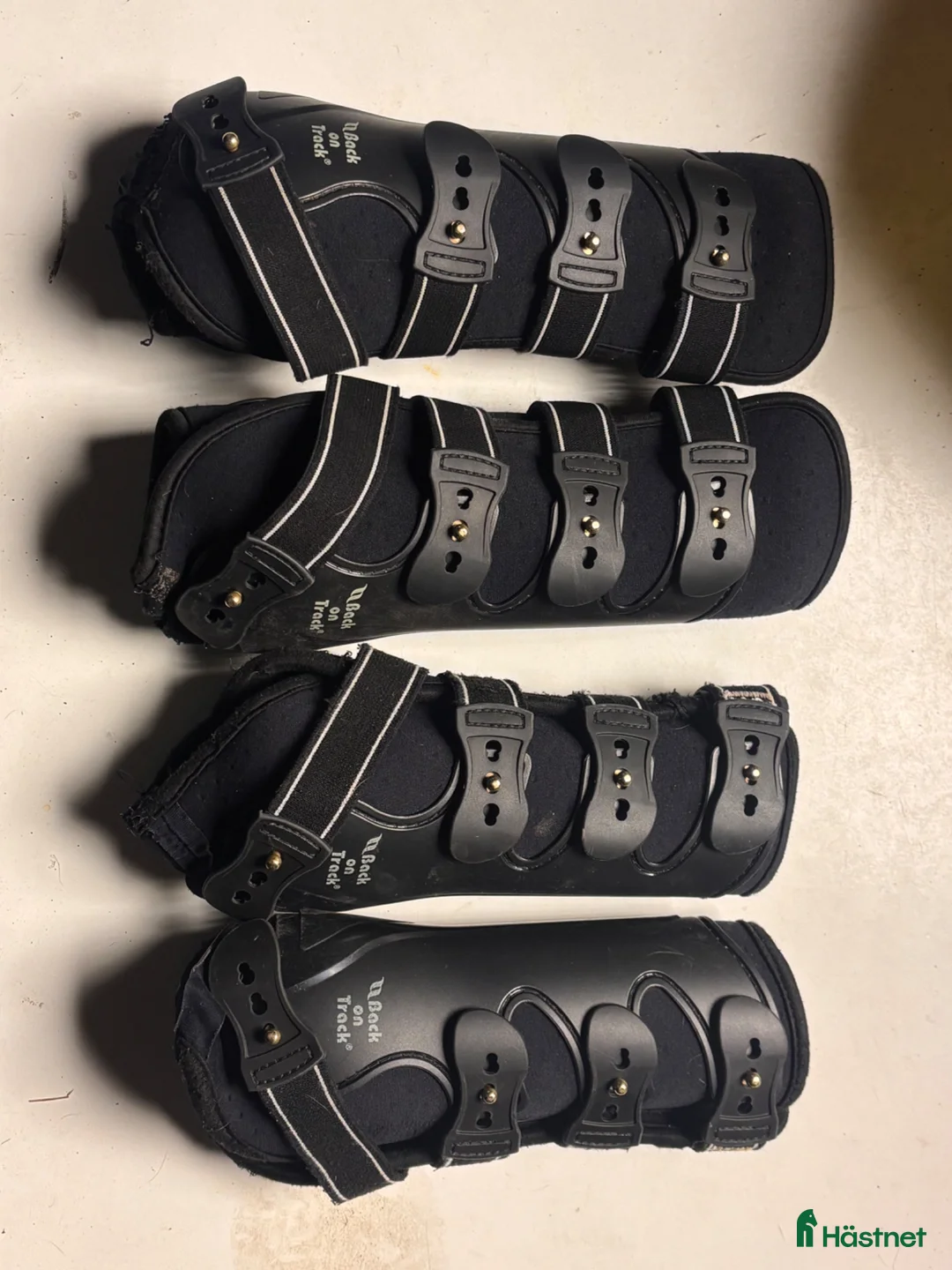 Benskydd hästutrustning till salu: Back on track Royal work boot - Annons 1