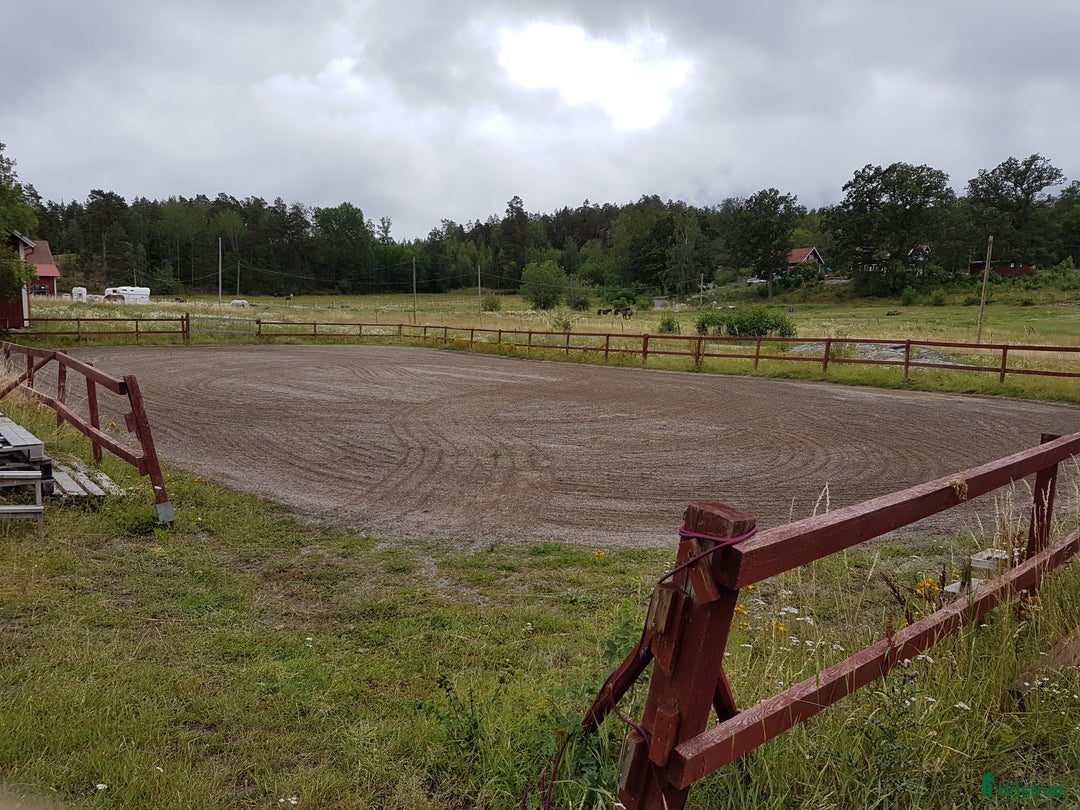  stallplats finnes: Lösdriftsplats för valack, Hedlanda gård,Mariefred i Mariefred - Annons 4