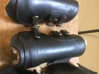 Benskydd hästutrustning till salu: Benskydd ponny i Jönköping - Annons 13